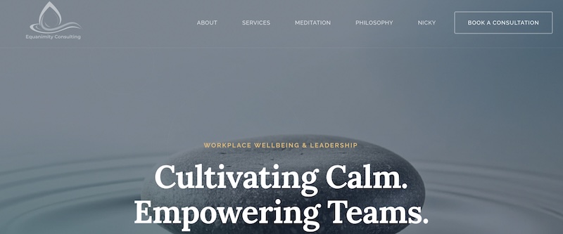 Equanimity Consulting homepage