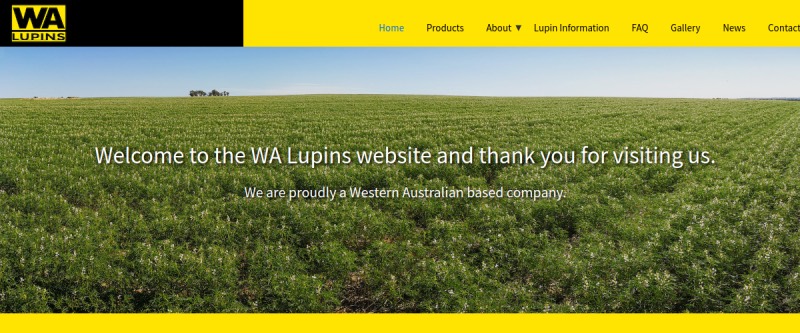 Walu Pins homepage